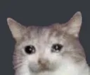 776106815816597544 776106815816597544