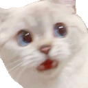 w_Scared Discord emoji