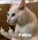 fakiucat Discord Emoji