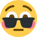 sunglasflush sunglasflush