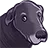 slogoRudy slogoRudy