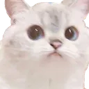 stare stare