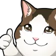 toonthumbsup toonthumbsup