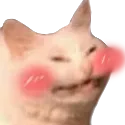 BlushCat