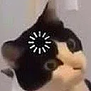 Catloading catloading Discord Emoji