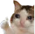 oke