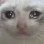 sad