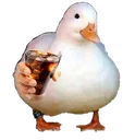 GZ_refrescate