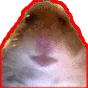 MeleeHam MeleeHam