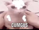 cumgus