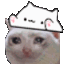 bongo_cat_on_sad_cat Discord emoji