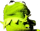 KermitChunky2 KermitChunky2
