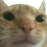 ahok Discord emoji