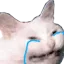gatosad Discord emoji