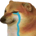 SadDoge