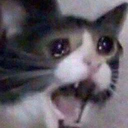 noo Discord emoji