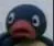 pengin