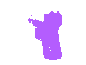 Pistol