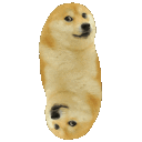 dogespin Discord emoji
