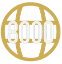 8000 Discord emoji