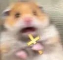 HamsterCross