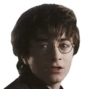 HarryPotterPog Discord Emoji