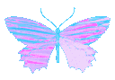 e_h_y_holobutterfly