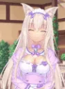 nya_2