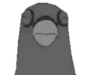 derpybird