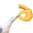 shut