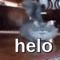 ch_helo Discord emoji