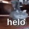 ch_helo ch_helo