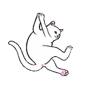 cat Discord Emoji