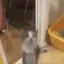 hoodcatpickme hoodcatpickme