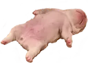 falleci