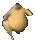 Pollo