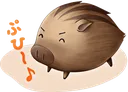 pig