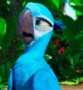 Jewel_Whaat Discord emoji