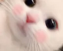 XDZemeQT