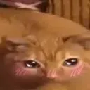 gwagwagwa