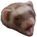 pogfelony