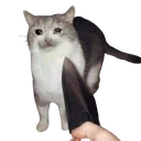 threaten