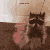 Mapache Discord emoji