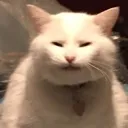 carl
