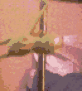 KermitPoleDance Discord emoji