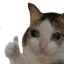 Sad Ok Discord Emoji