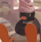 pingu