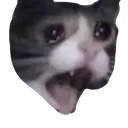 SadCat