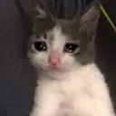 i_sad Discord Emoji