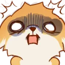 :Shiba_oohh_MJ: Shiba_oohh_MJ